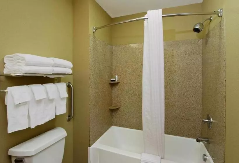 酒店 Candlewood Suites Norfolk Airport, An Ihg