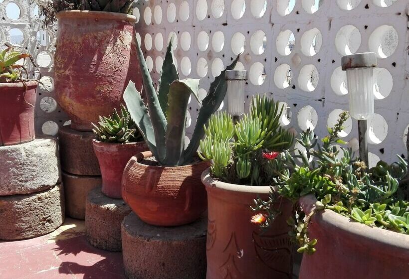 فندق Dar El Paco