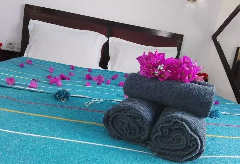 فندق Dar El Paco