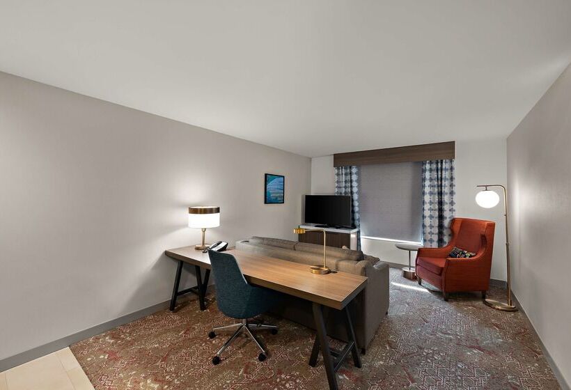 هتل Hilton Garden Inn Omaha East/council Bluffs