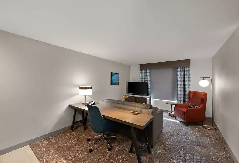 Hotel Hilton Garden Inn Omaha East/council Bluffs