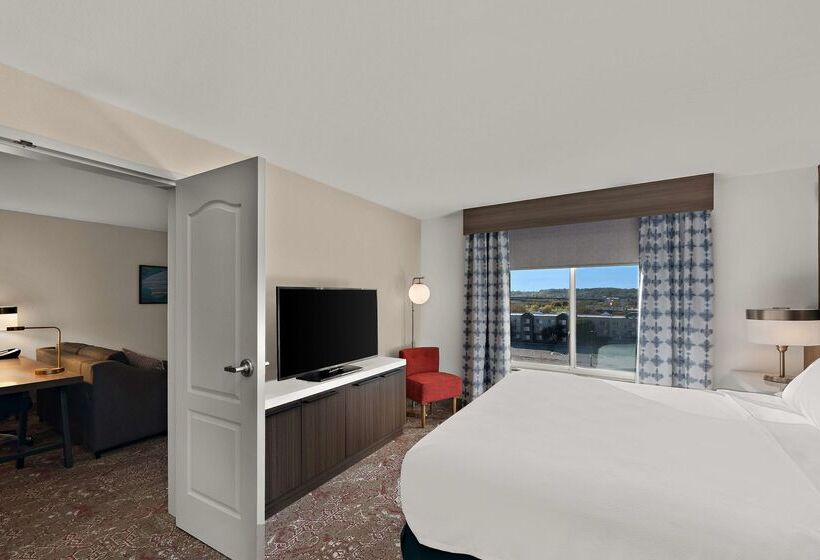 هتل Hilton Garden Inn Omaha East/council Bluffs