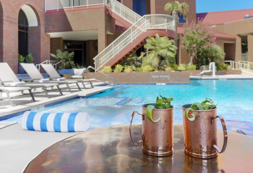 酒店 Hilton Richardson Dallas