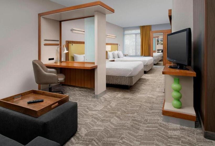 Отель Springhill Suites Potomac Mills Woodbridge