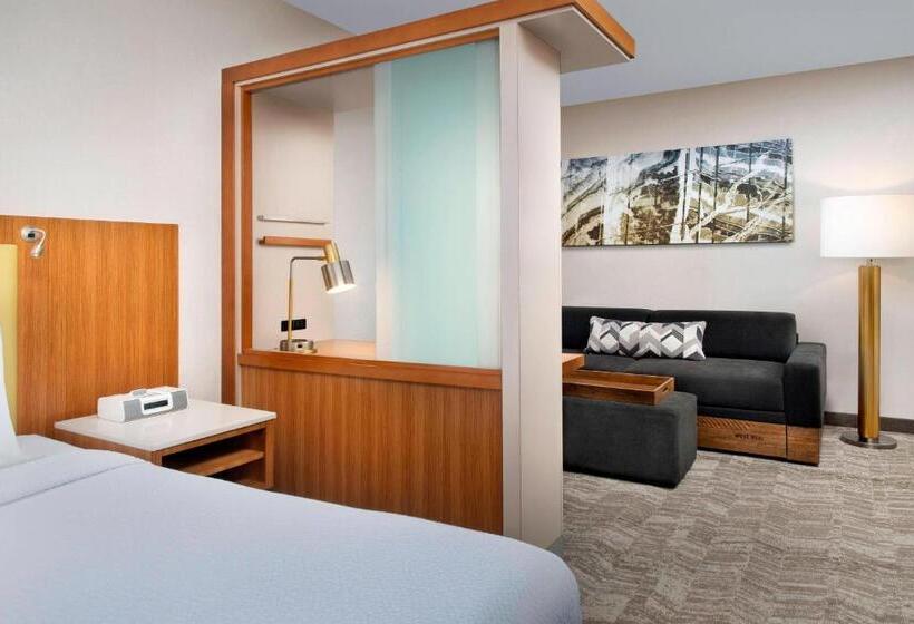 Отель Springhill Suites Potomac Mills Woodbridge