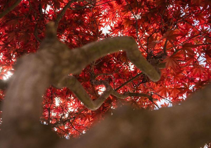 La Belle Vue Boutique Hotel & Café