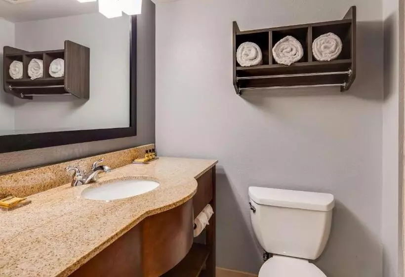 Hotel Best Western  Plus Champaign/urbana Inn