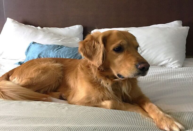 Best Western Plus Liverpool Hotel & Conference Centre