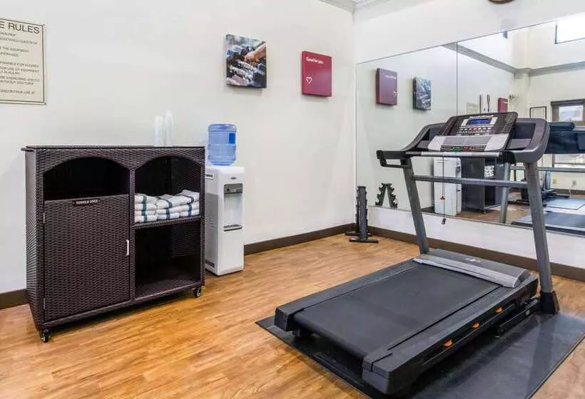 בית מלון כפרי Comfort Inn & Suites Airport American Way