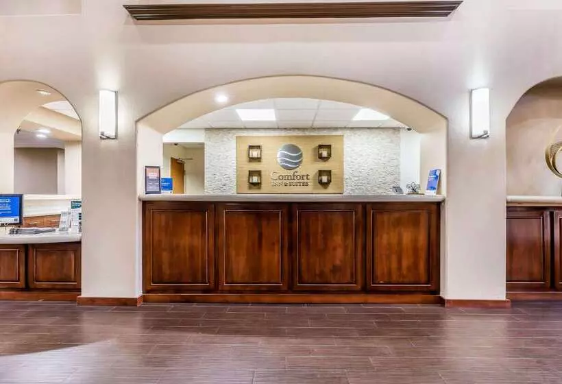 בית מלון כפרי Comfort Inn & Suites Airport American Way