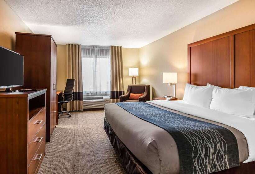 فندق Comfort Inn & Suites Airport American Way