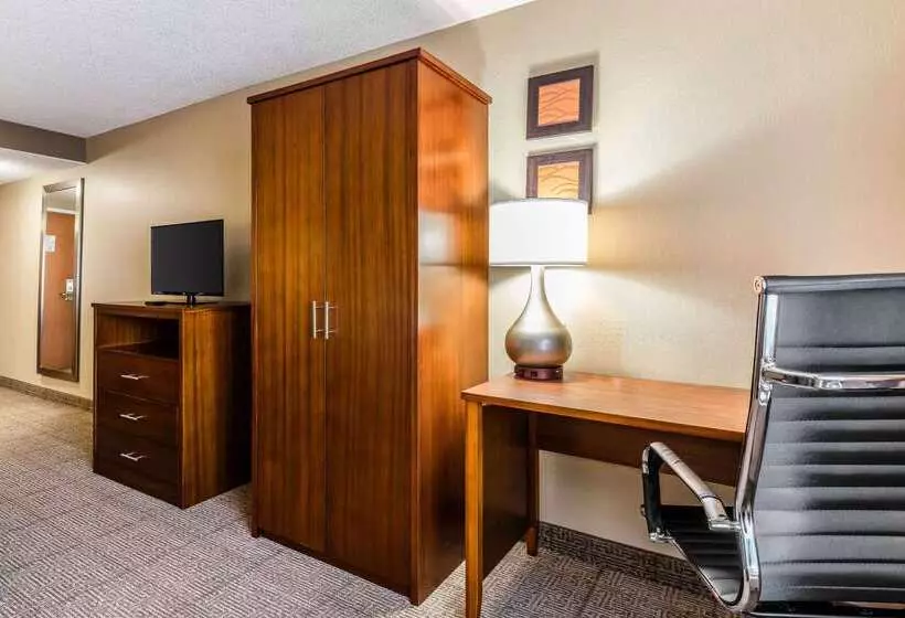 בית מלון כפרי Comfort Inn & Suites Airport American Way