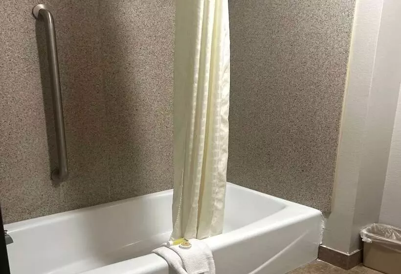 Hotel Days Inn By Wyndham Baton Rouge I 10