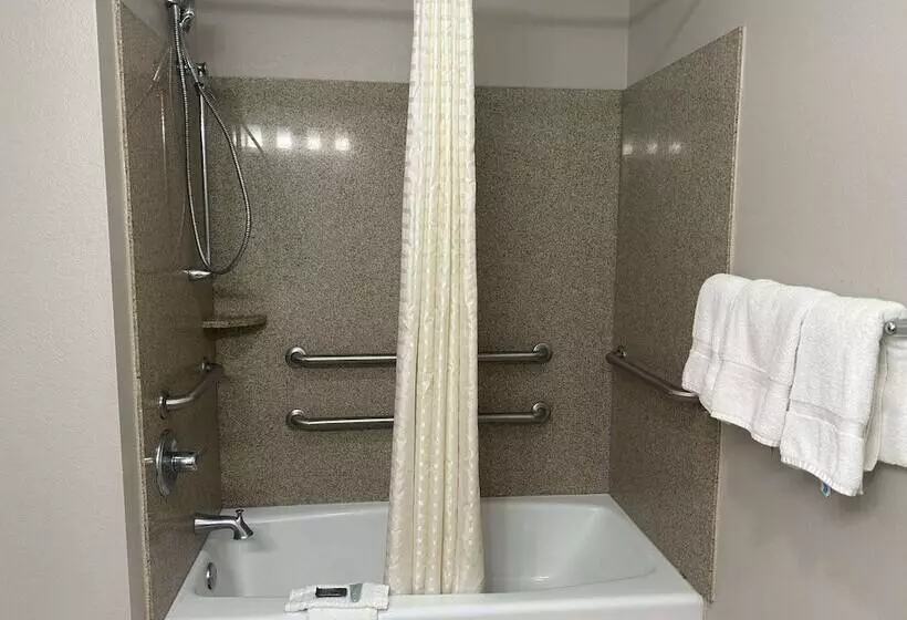 Hotel Days Inn By Wyndham Baton Rouge I 10