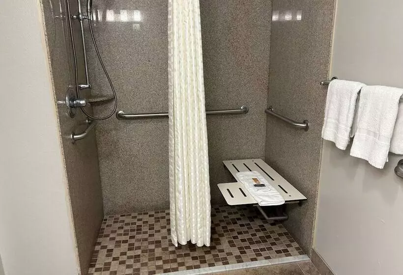 Hotel Days Inn By Wyndham Baton Rouge I 10