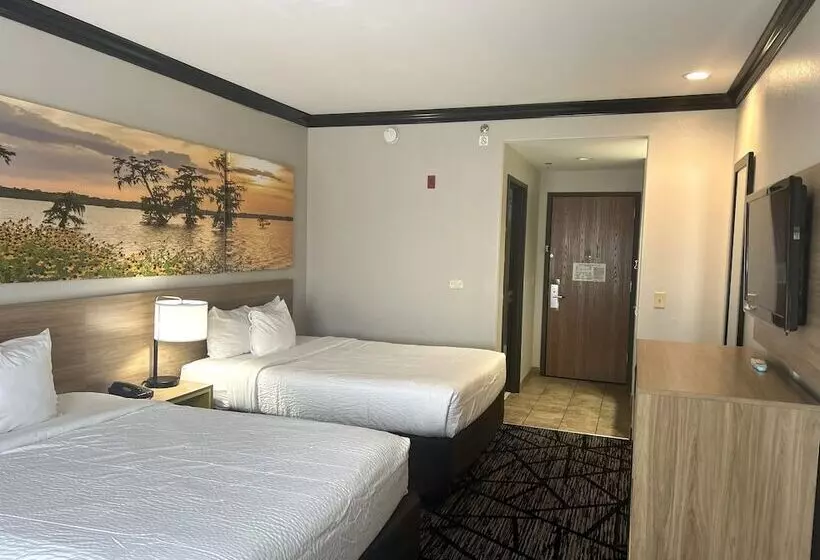 Hotel Days Inn By Wyndham Baton Rouge I 10