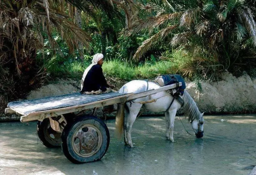 호텔 Maison D Hôtes Villa Fatima