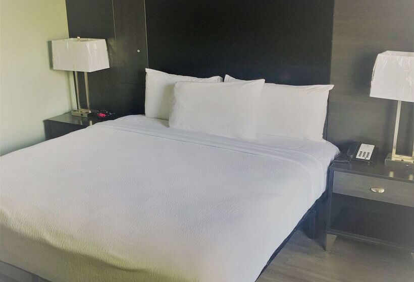 فندق River Front Inn