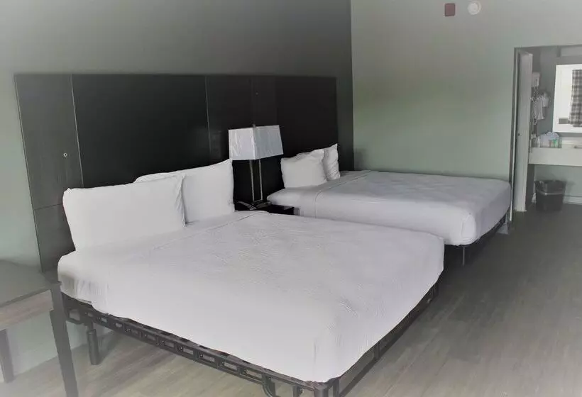 ホテル River Front Inn