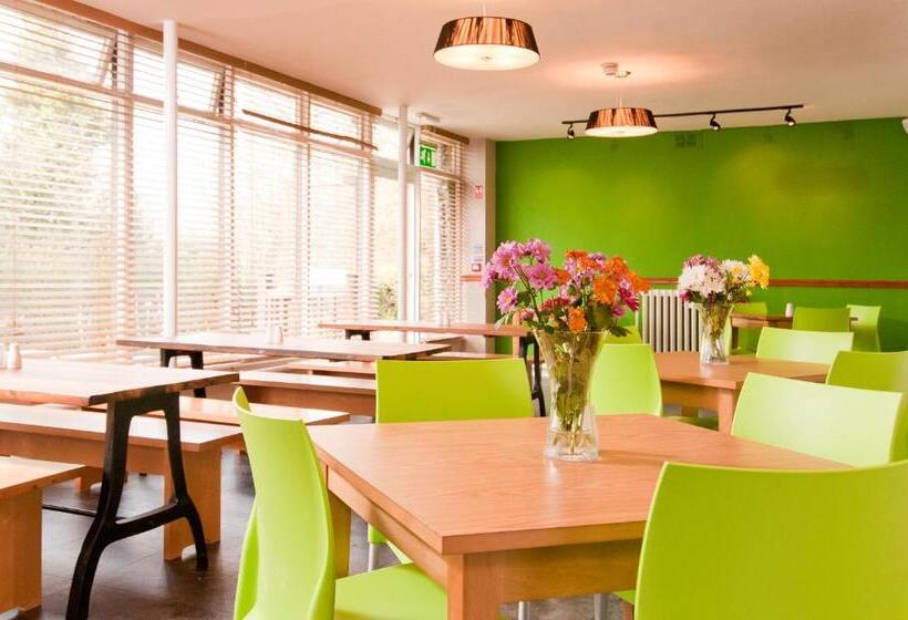 فندق صغير Yha York