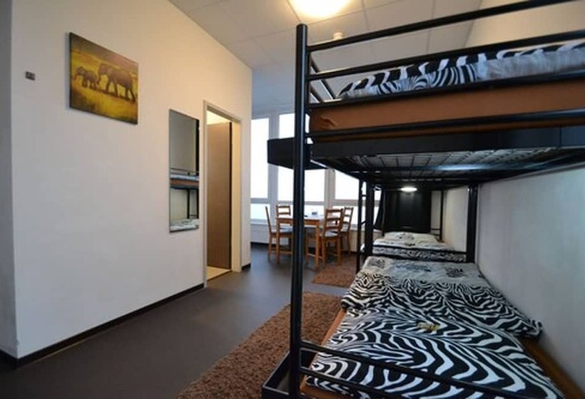 Arena Hostel & Monteurzimmer
