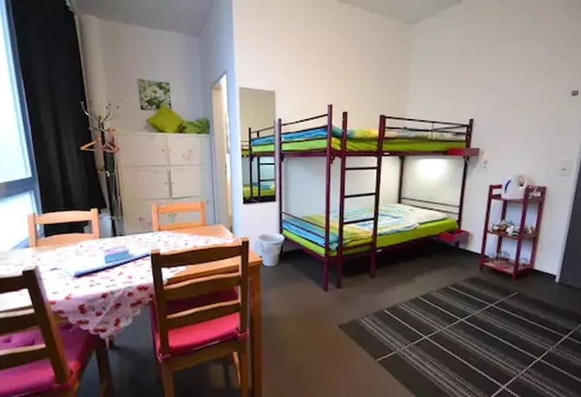 Arena Hostel & Monteurzimmer