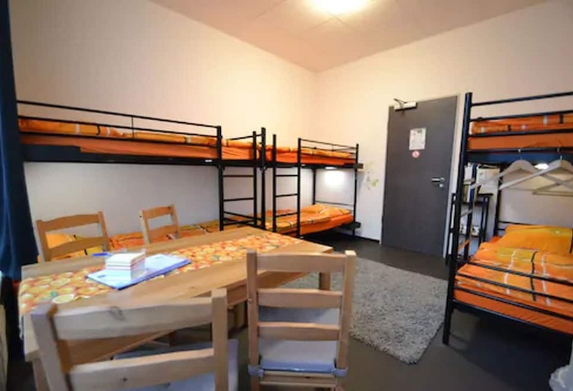 Arena Hostel & Monteurzimmer