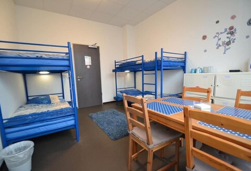 Arena Hostel & Monteurzimmer