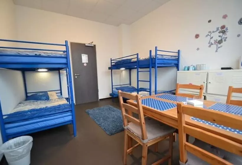 Arena Hostel & Monteurzimmer