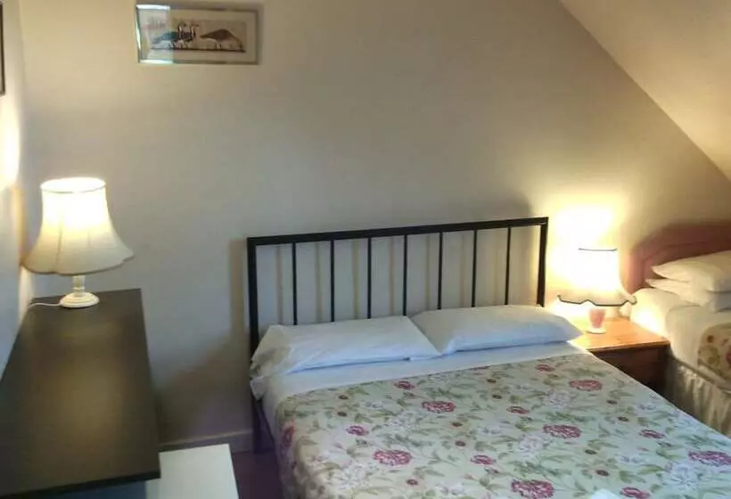 住宿加早餐 Amazon Guest House