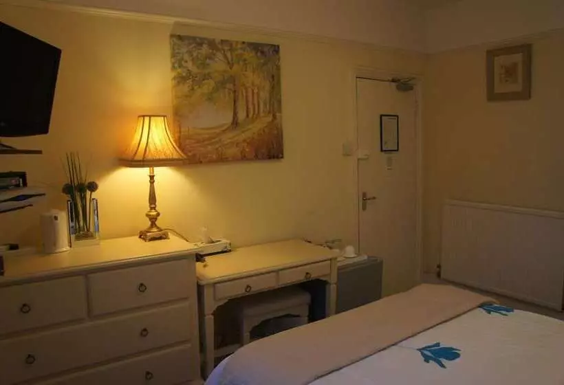 住宿加早餐 Amazon Guest House