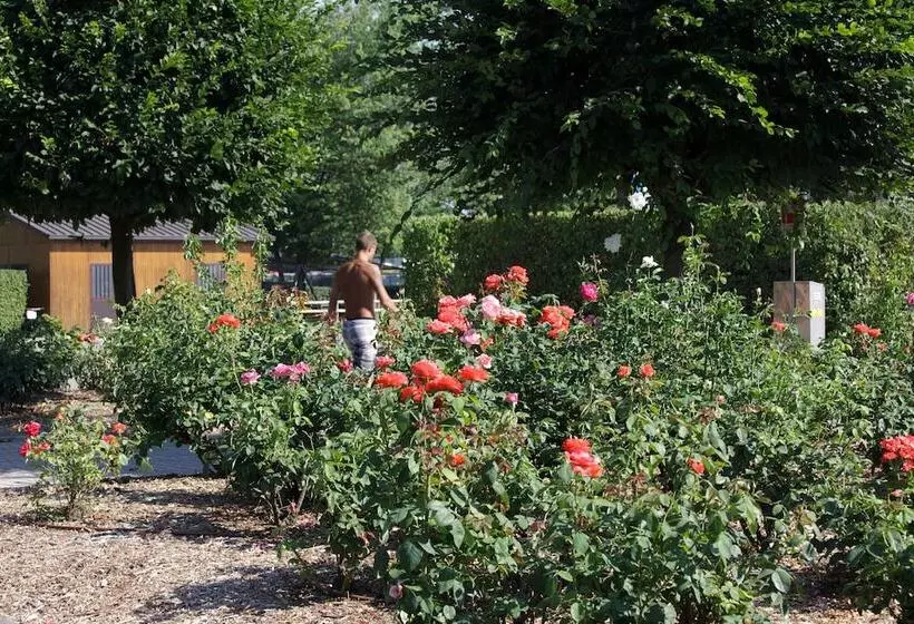 Club Del Sole Centro Turistico Città Di Bologna