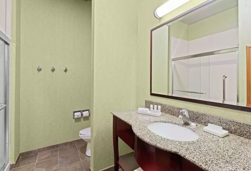 호텔 Hampton Inn West Palm Beachlake Worthturnpike