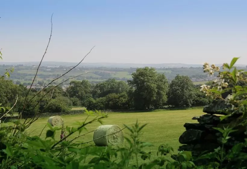 Отель Llechwen Hall