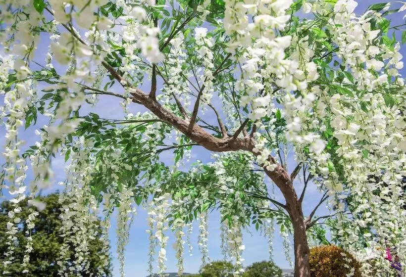 Отель Llechwen Hall