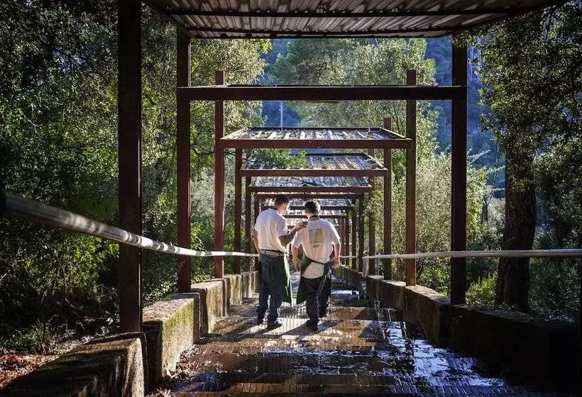 Общежитие Inout