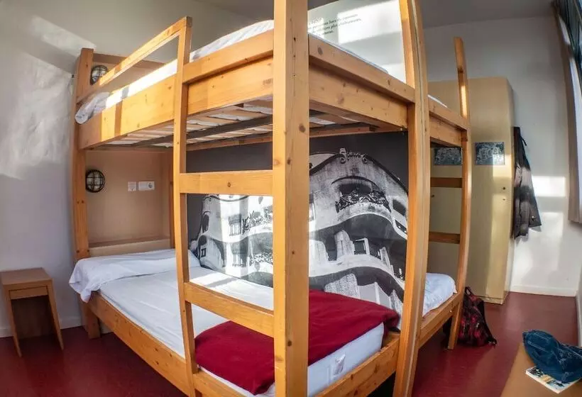 Общежитие Inout