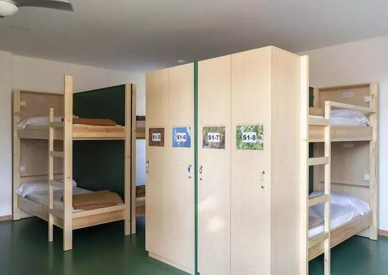 Общежитие Inout