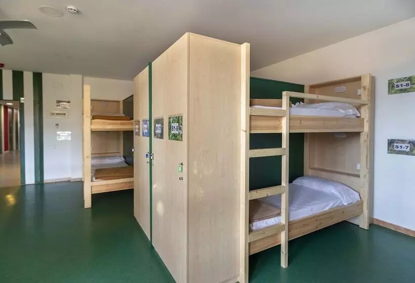 Общежитие Inout