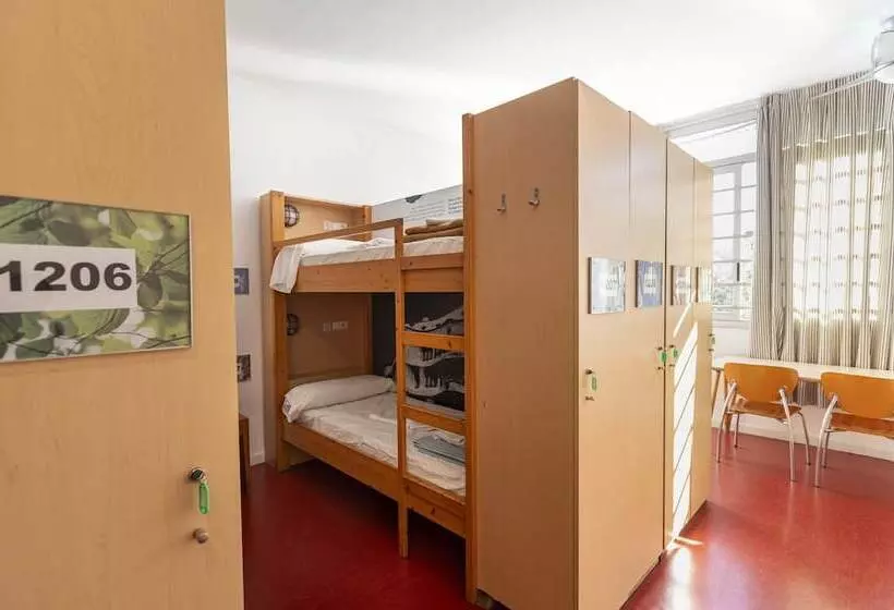 Общежитие Inout