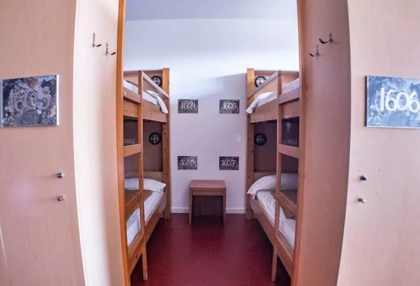 Общежитие Inout