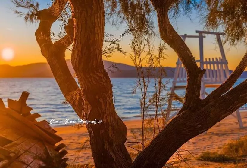 Mikri Vigla Hotel Beach Resort