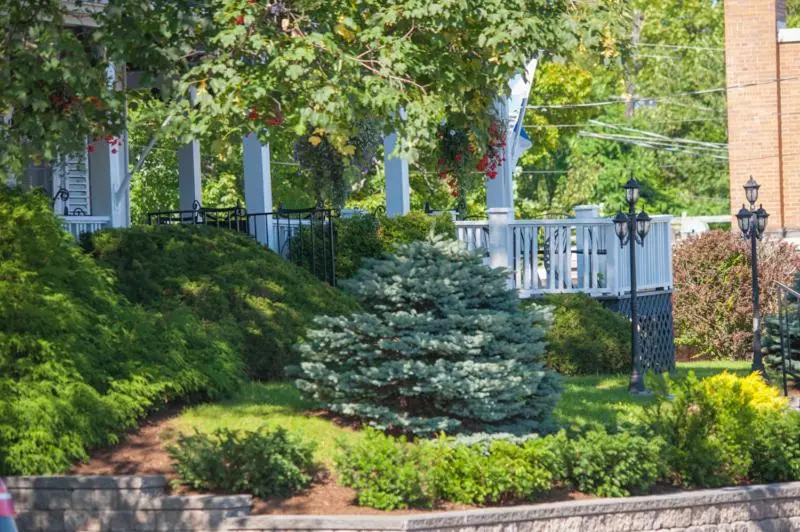 Telegraph House Motel