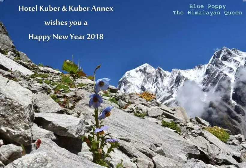 هتل Kuber