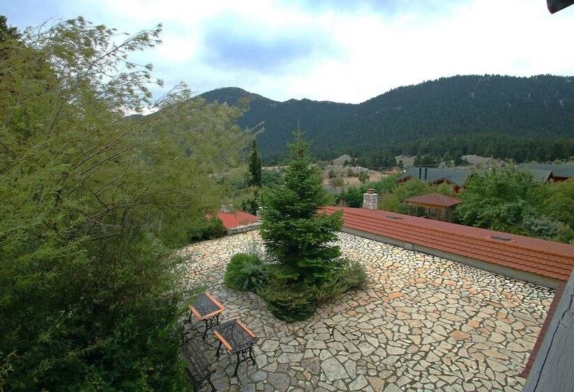 Boutique Hotel Skamnos Arachova