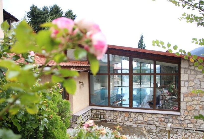 Boutique Hotel Skamnos Arachova