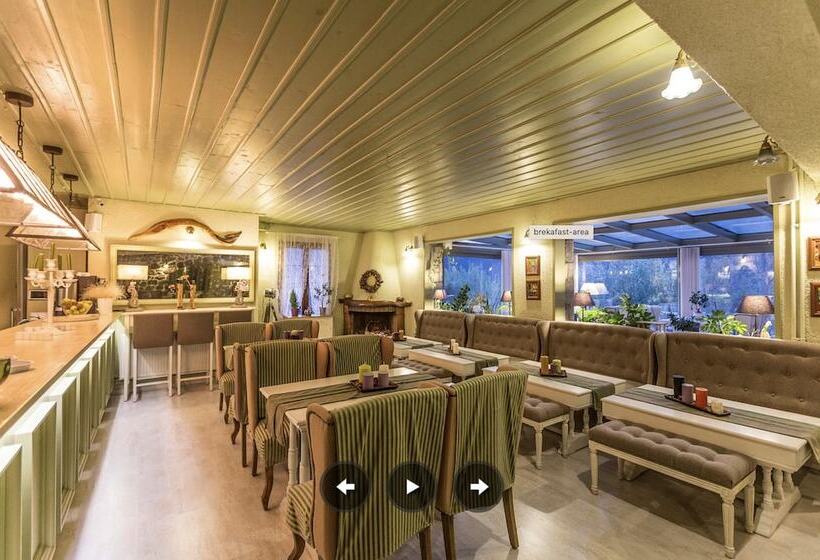 Boutique Hotel Skamnos Arachova