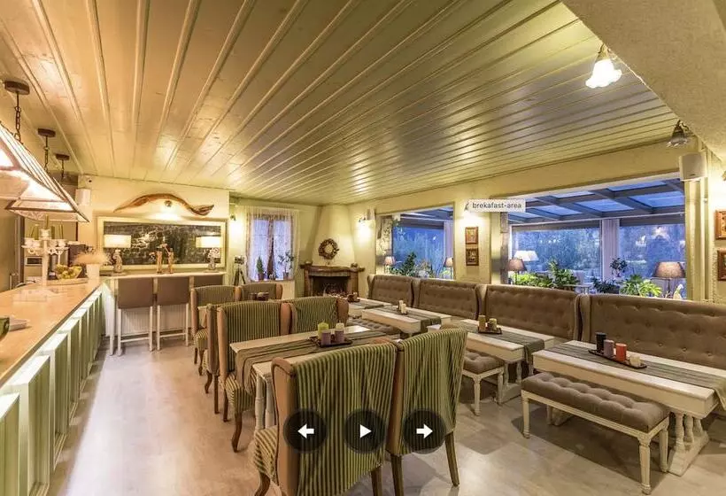 Boutique Hotel Skamnos Arachova