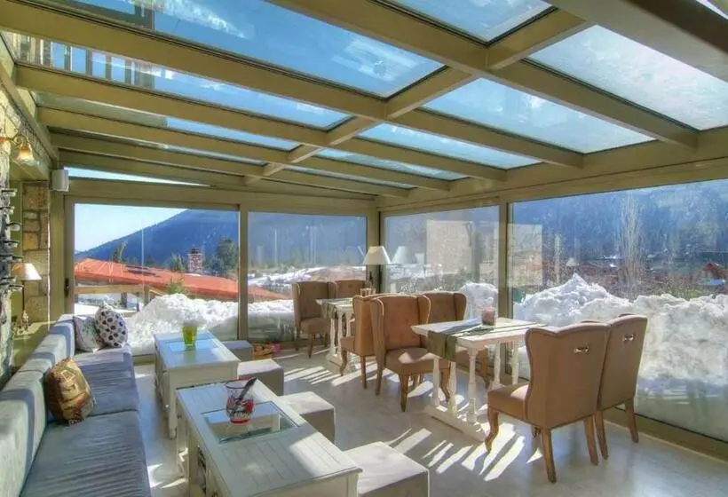 Boutique Hotel Skamnos Arachova