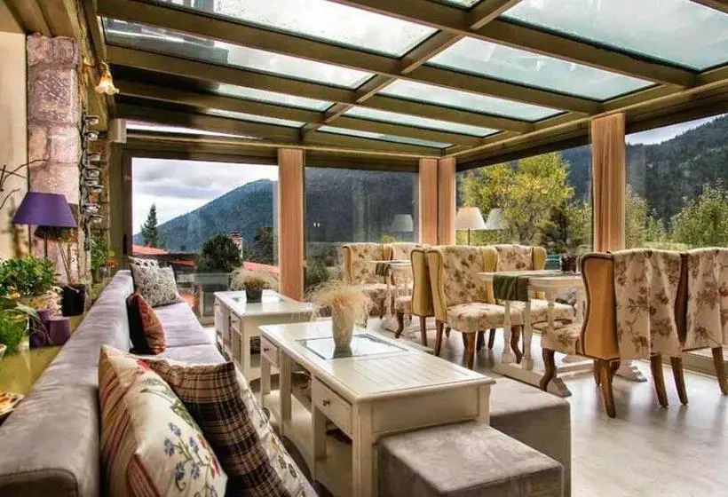 Boutique Hotel Skamnos Arachova